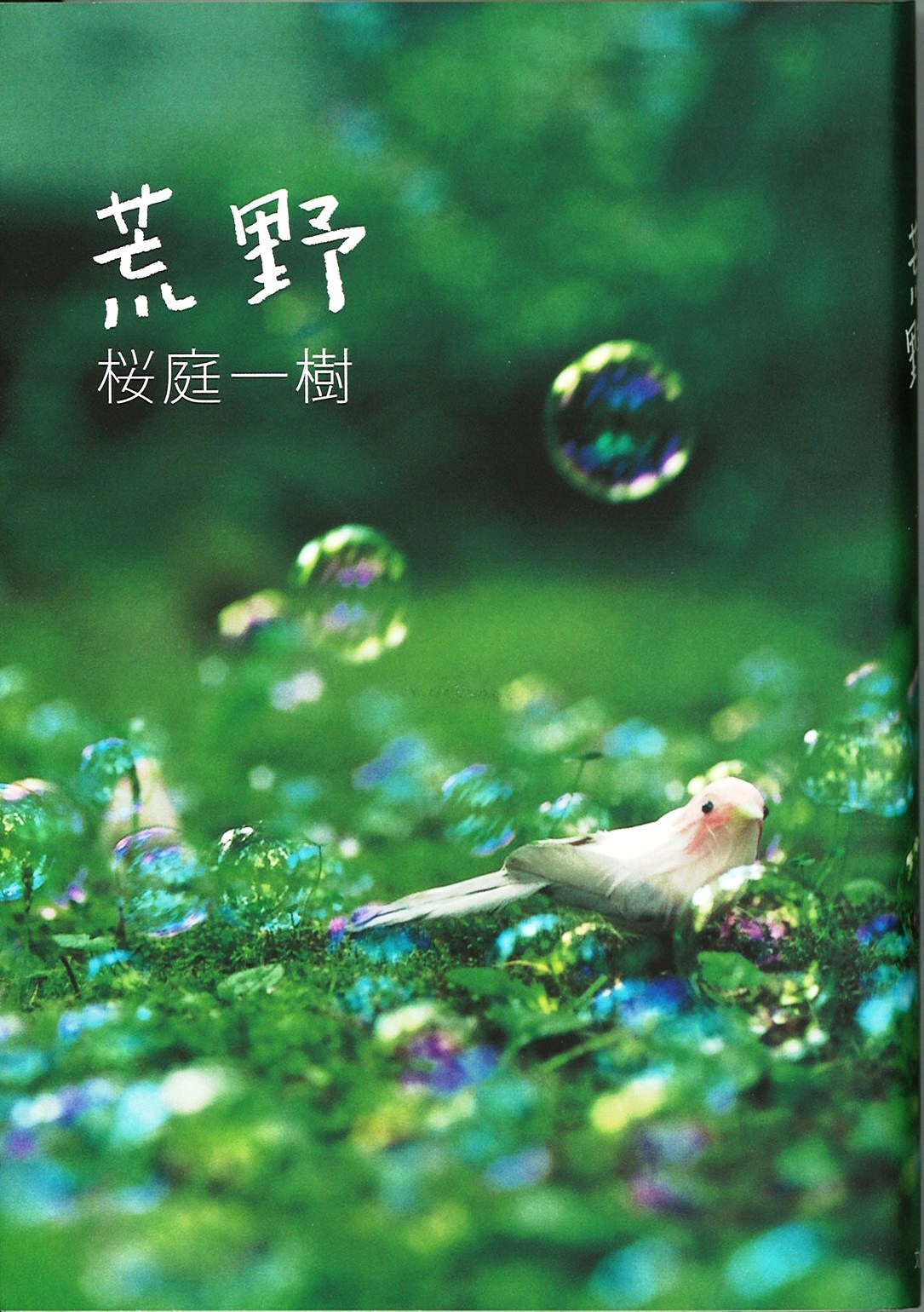 荒野の写真