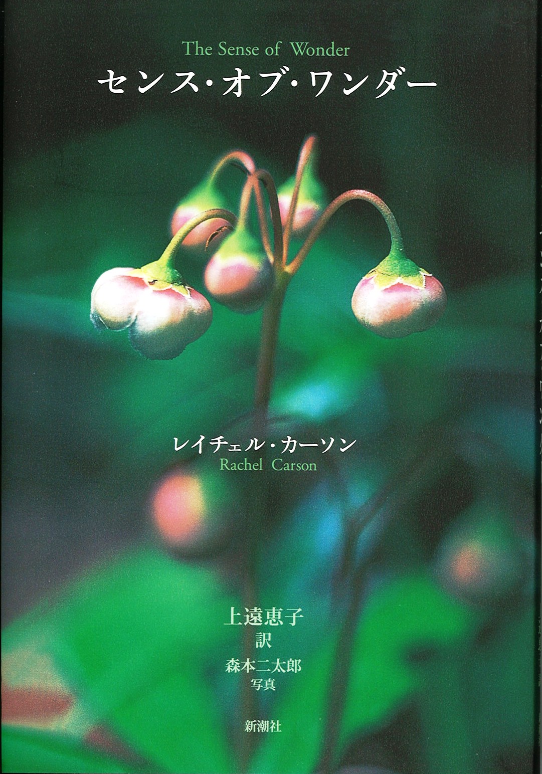 センス・オブ・ワンダーの写真
