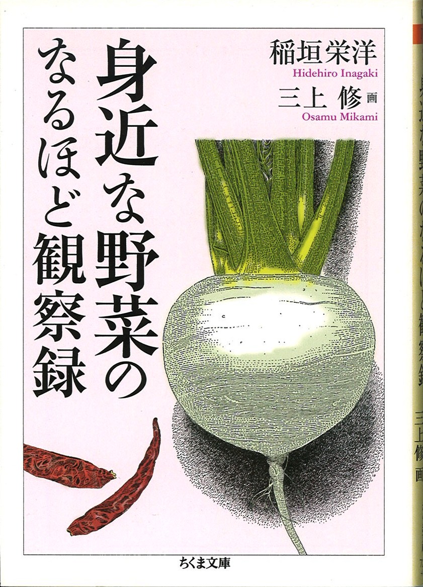 身近な野菜のなるほど観察録の写真