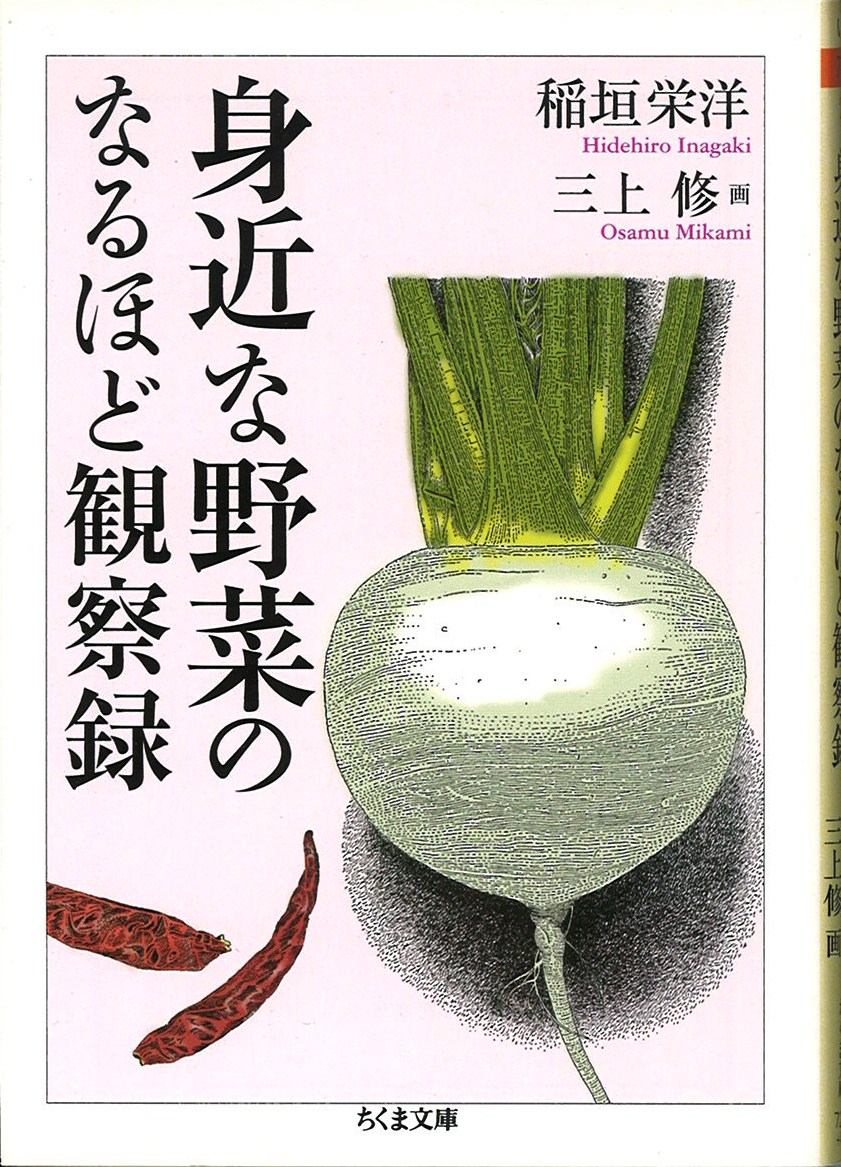 身近な野菜のなるほど観察録